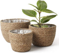 Three Handwoven Seagrass Plant Baskets