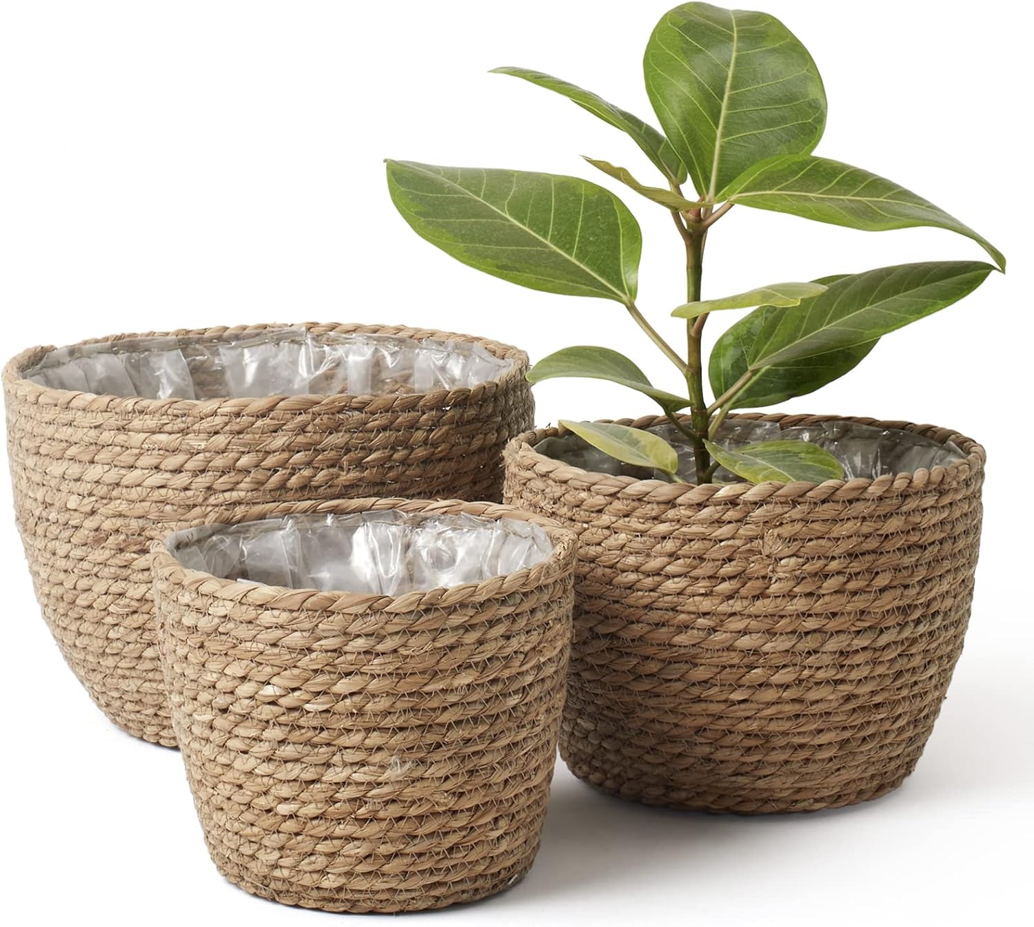 Three Handwoven Seagrass Plant Baskets