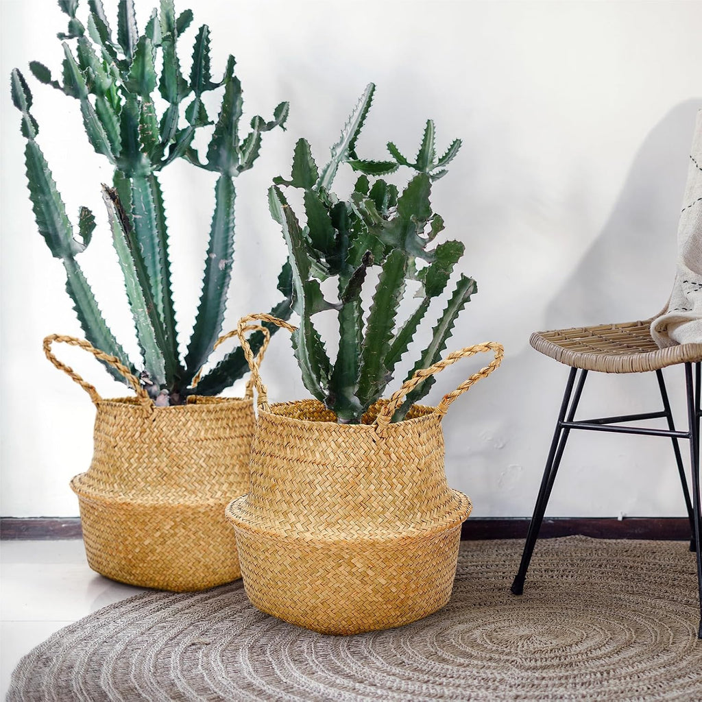 Round Folding Seagrass Plant Baskets 4 Pack