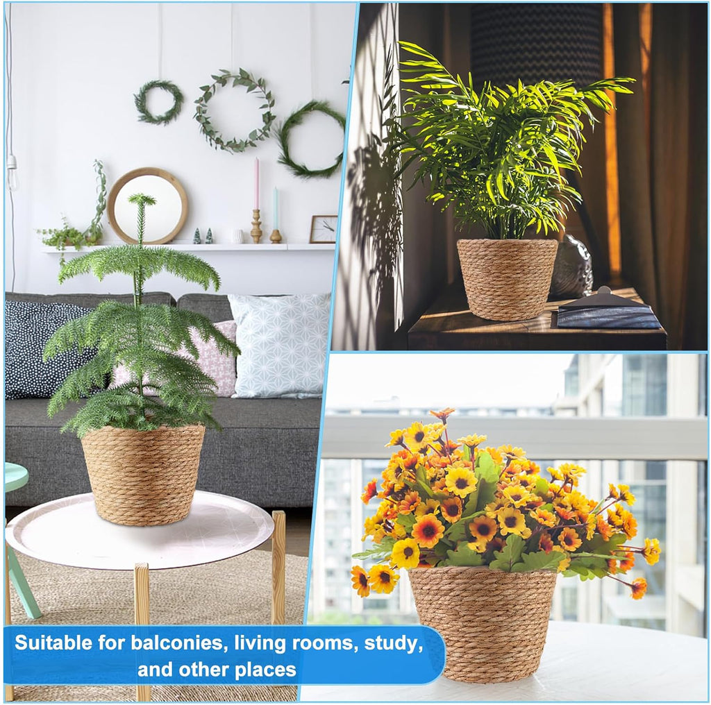 Four Lined Seagrass Plant Baskets