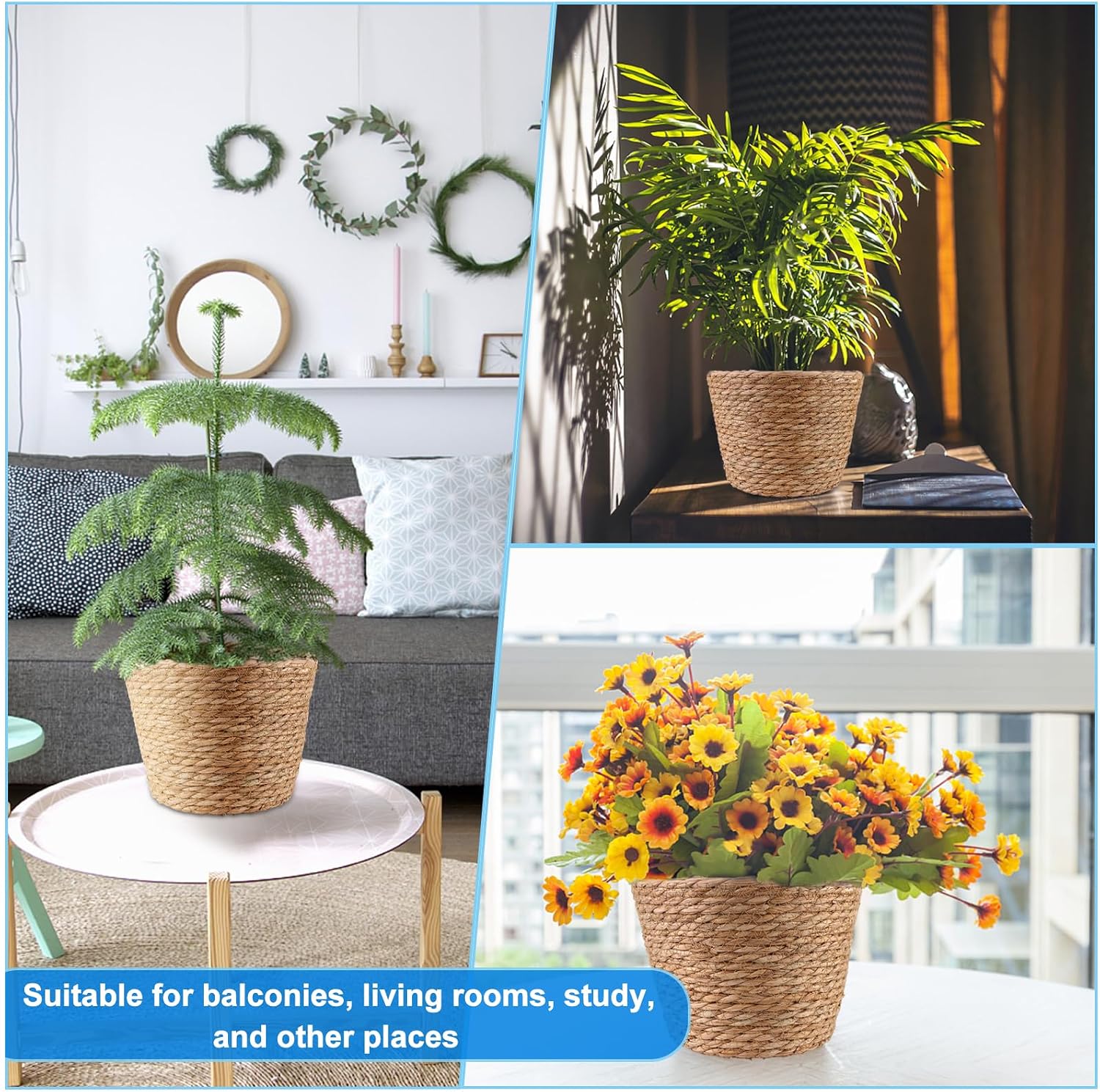 Four Lined Seagrass Plant Baskets