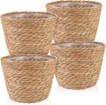 Four Lined Seagrass Plant Baskets